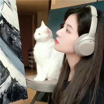 卖肉养孤儿粤语